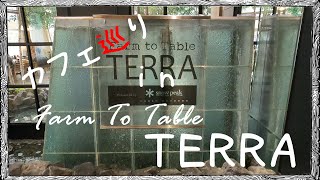 【cafe】Farm to Table TERRA【カフェ巡り】