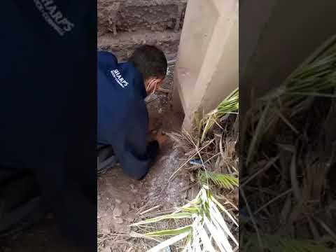 والله ستندهش من خطوات هذا الشيطان عند البحث عن السحر الراقي سلطان بدر 0664010749 