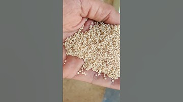 Millet Dehuller | Millet Mill 09423123023