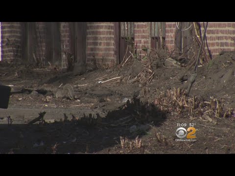 CBS2 Gets Action On Nutley Eyesore