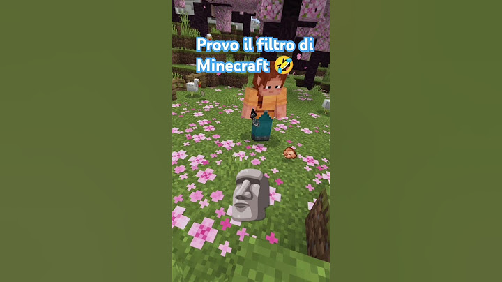 il filtro di Minecraft