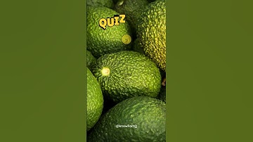 Ultimate Daily Trivia Quiz - Test Your Knowledge #gktrivia #quiz #funtrivia