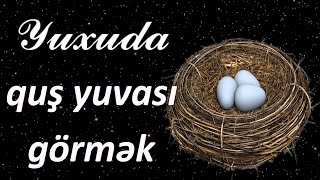 Yuxuda quş yuvası görmək ☾✵ Qısa Yuxuyozma