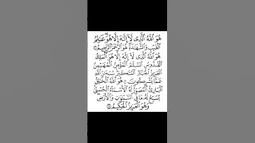 سورة الحشر - سعد الغامدي