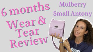 6 Months Wear and Tear Review Small Antony Mulberry/ Lilac Risk of color transfer/ My experience