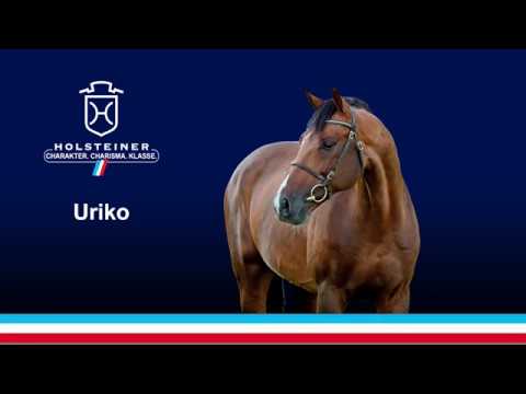 Uriko in Bremen - 4. Platz (S***)