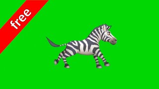 كروما شاشة خضراء جرين سكرين للحمار الوحشي مع فلاتر green screen for zebra with different filters