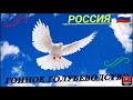 Николаевские голуби // Уч. Ермоленко. С.Ю // Бизон // Фисунов. А. // Анчик. С. И. // 11.11.2023.г.🇷🇺