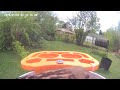 Bird 🐦 Video afternoon today 