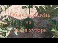 #Ладахутор#стройка#огород #куры#жизньнахуторе