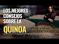 TODO SOBRE LA QUINOA: PROPIEDADES, BENEFICIOS Y USOS EN LA COCINA