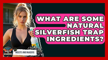 What Are Some Natural Silverfish Trap Ingredients? - Insects and Invaders