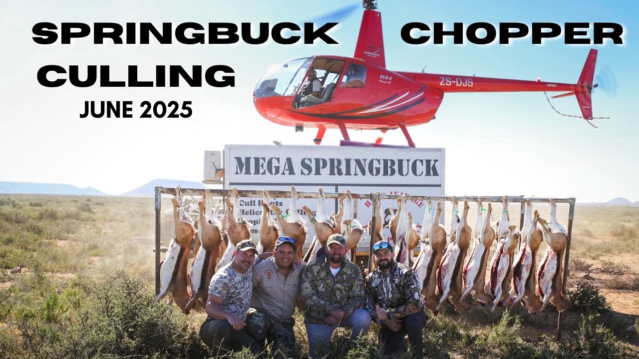 Culling Springbuck from a Helicopter - Mega Springbuck - YouTube