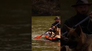 We Are Canoeing on the Lake with Wolf Odin and My Dogs #wolf #wolfdogs