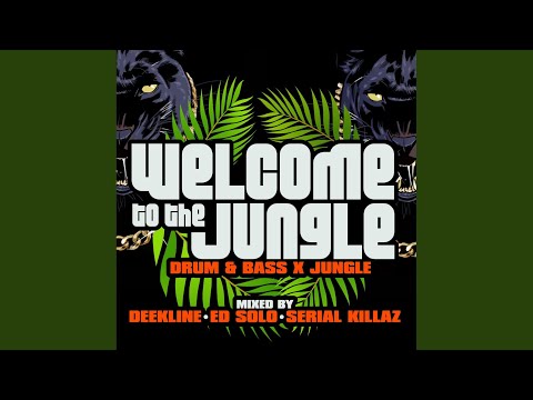 Duppy Sound (Original Mix)