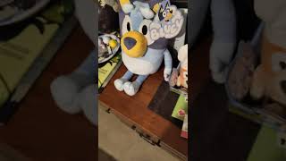 last video of 2023 just showing all my bluey plush that I got over the year