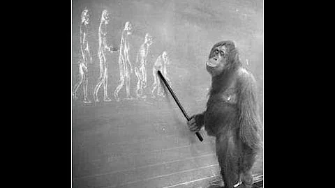 Evolution vs God - the "best" of Gail Kennedy