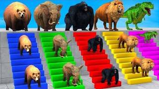 Long Slide Game With Cow Elephant Gorilla Hippopotamus Tiger 3d Animal Game Funny 3d Animals screenshot 3