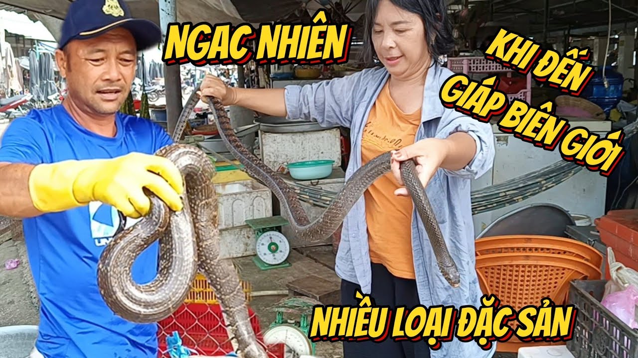 Quá Khủng Chợ Rắn Chuột Khô Cá Đồng Vùng Biên Giới Bàu Sậy Campuchia#Trung Tinh TV
