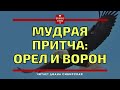 🔴Мудрая притча "Орел и ворон". #ВажныеСлова, #Мудро,  #Ожизни #Задумайся  #Мотивация #ДианаСибирская