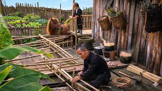 Dwarf Family A Peaceful Morning of Cabin Repairs and Horse Grooming