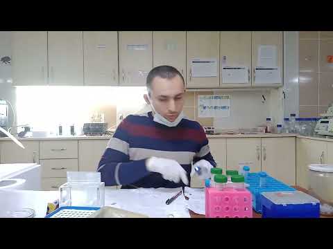 Video: Agarozun poliakrilamid gellərdən üstünlüyü nədir?