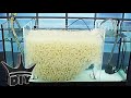 HOW TO: Build an aquarium sump - fluidized moving bed filter