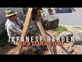 TIme to Restore The Japanese Garden | How to Remove a Tree Stump