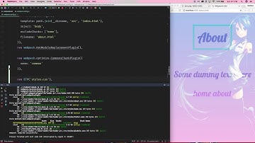 Webpack & CSS - 7. Extract text plugin