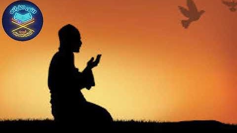 #سورة التكوير #تلاوة_مُحبّرة #حلقات_النور_القرآني