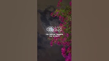 سورة الاخلاص ||فارس عباد #القرآن #آيات #لاحول_ولا_قوة_الا_بالله #القران_بصوت_جميل #الاستغفار # #الله