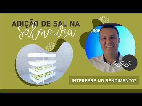 Vídeo: E A Salmoura Restante?