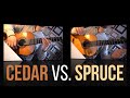 Cedar vs. Spruce - which guitar plays it better?