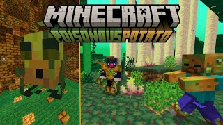 NUEVA DIMENSIÓN y BOSS en la NUEVA ACTUALIZACIÓN de las PAPAS - Minecraft 24w14potato
