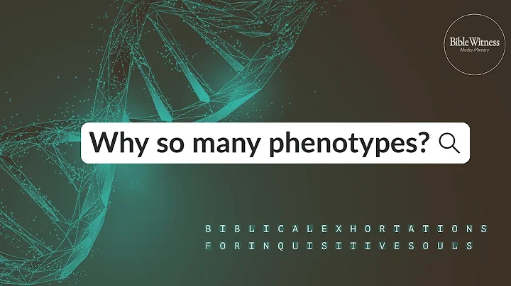 Why do we have different skin tones if we are all from Adam & Eve?