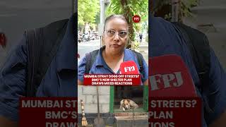 Mumbai Stray Dogs Off Streets? BMC’s New Shelter Plan, Reactions From Animal Activists & Dog Lovers