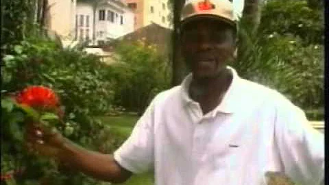 Bobgala Didier   Nah Salla
