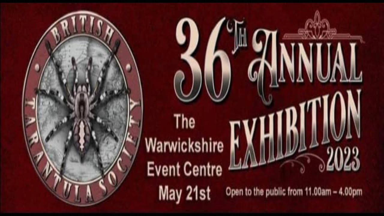 What An Amazing Day At The Biggest Invert Show Of The Year