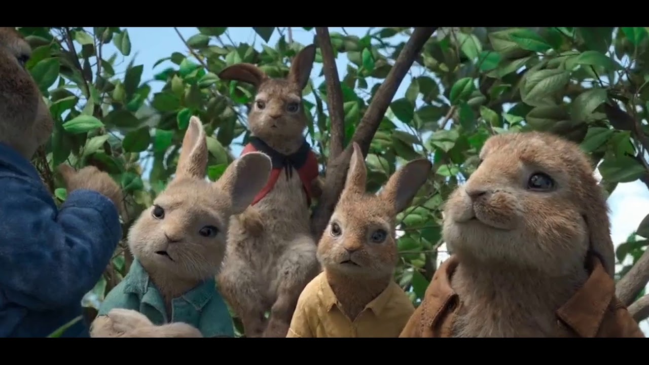 Petualangan Peter Rabbit si kelinci nakal film  anak  l 