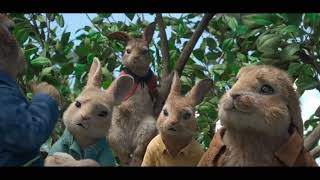 Petualangan Peter Rabbit (si kelinci nakal) film anak l animasi l sub.indo