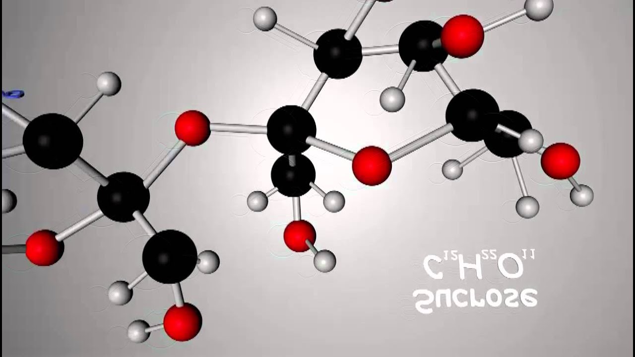 Science Model of Sucrose (C4D) 