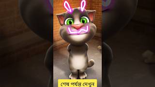 cat Veri nice jokes #comedy #animals #funny #motivation #news