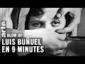 Luis Bunuel en 9 minutes - Blow Up - ARTE