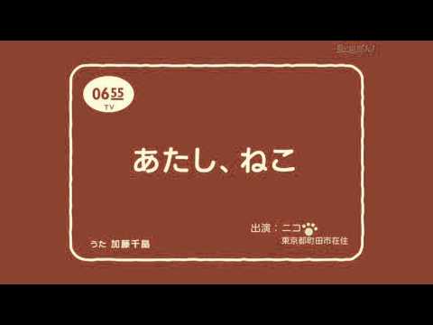 あたし、ねこ#1〜アメショーの幼猫・ニコひとりっ子時代Ver.〜「I'm a cat.」American shorthair kitten Nico Ver.
