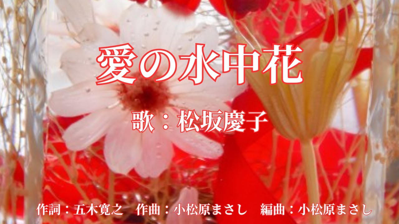 愛の水中花 松坂慶子 - YouTube