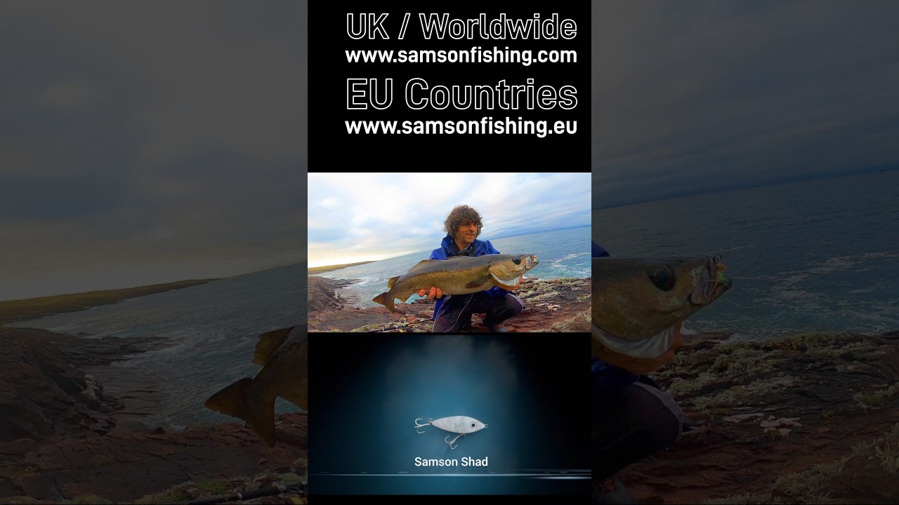 Irish Pollock Fishing With Samson Shad 