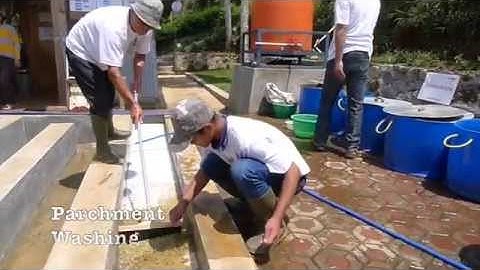 Javanero Promo Video 2015