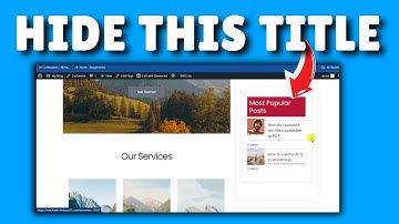How To Hide Widget Titles In WordPress (Quick & Easy)