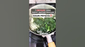 Manfaat daun pepaya untuk kesehatan #tips #tipsandtricks #tipssehat #infosehat #health #tutorial