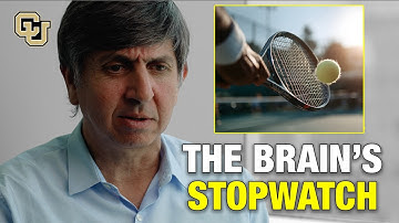 Why You Catch a Falling Glass: Brain Timing and Sensory-Motor Control | DiGregorio Lab